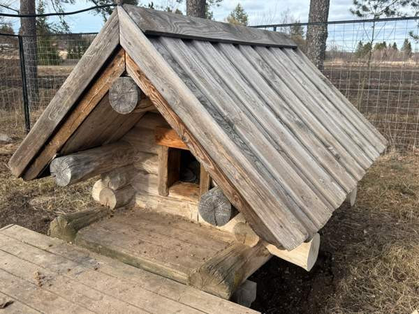 Koirankoppi Nivala - valokuva 1