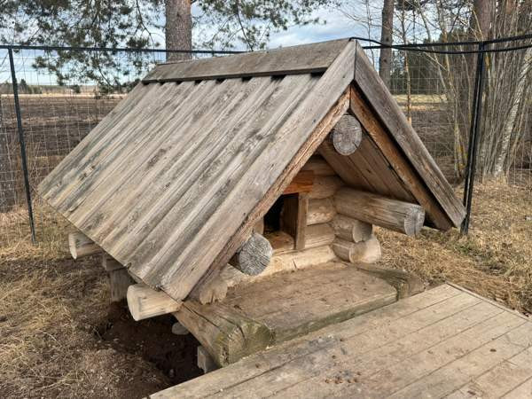 Koirankoppi Nivala - valokuva 2