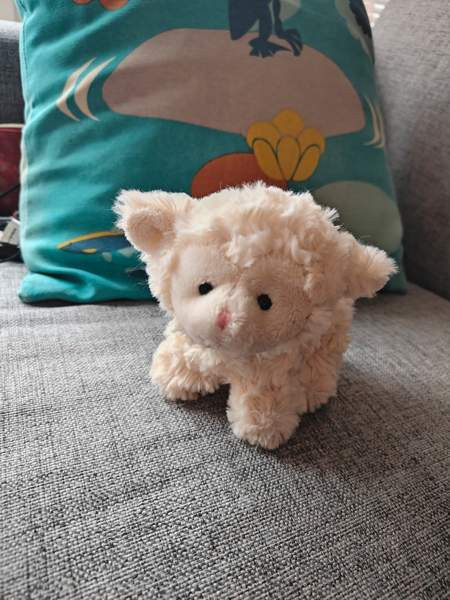 Lammas pehmolelu Tampere - valokuva 1