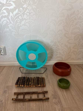 Hyvä aloitus pakkaus uudelle hamsteri omistajalle. Löytyy kaikki tarvittava! Seinaejoki – foto 3