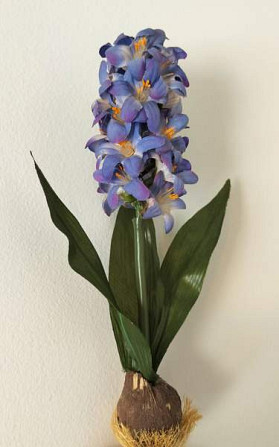 TEKOKUKKA hyasintti sipulilla 27 cm (vintage) Tampere - photo 1