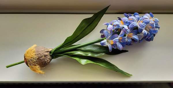 TEKOKUKKA hyasintti sipulilla 27 cm (vintage) Tampere – foto 2