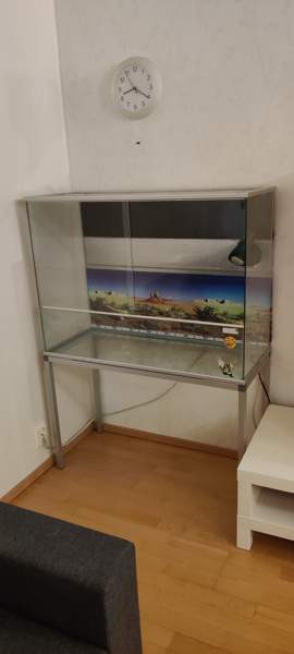 Terraario 95x70x40 + jalat Сейняйоки - изображение 1