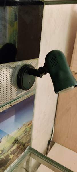 Terraario 95x70x40 + jalat Сейняйоки - изображение 5