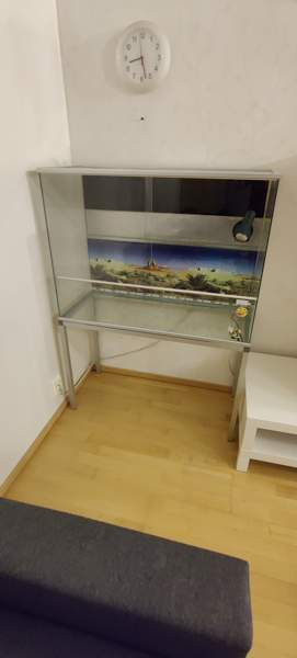 Terraario 95x70x40 + jalat Сейняйоки - изображение 7