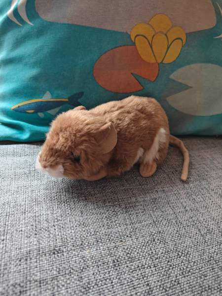 Jyrsijä pehmolelu Tampere - valokuva 1