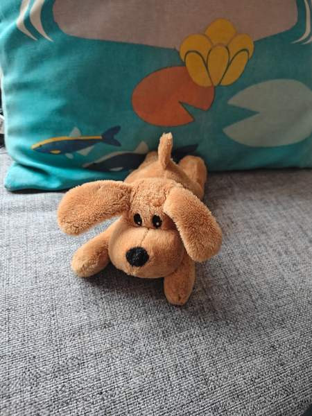 Pieni pehmolelu koira Тампере - изображение 1