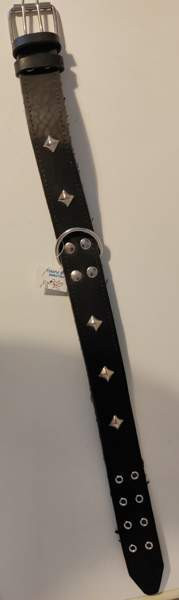 Kaulapanta koiralle Helsinki - изображение 1