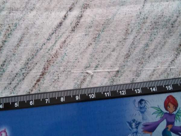 Fujiwo Ishimoto: Puro Rovaniemi - valokuva 6