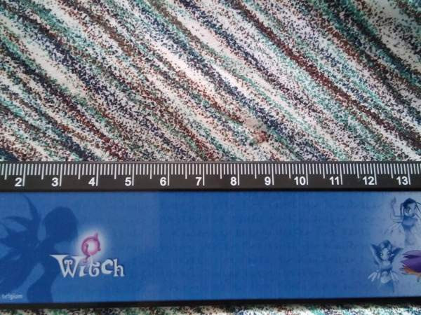 Fujiwo Ishimoto: Puro Rovaniemi - valokuva 5