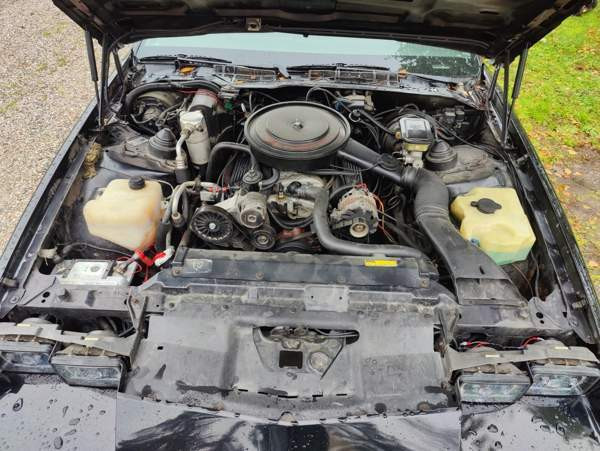 Chevrolet Camaro Pornainen - valokuva 6