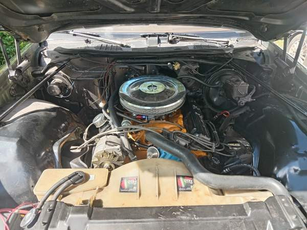 Buick Century Vihti - valokuva 5