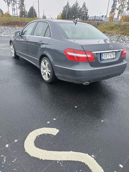 Mercedes-Benz E Luga - valokuva 3