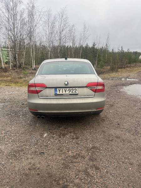 Skoda Superb Glebychevo - photo 5