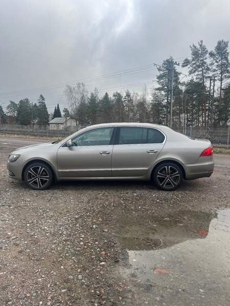 Skoda Superb Glebychevo - photo 3