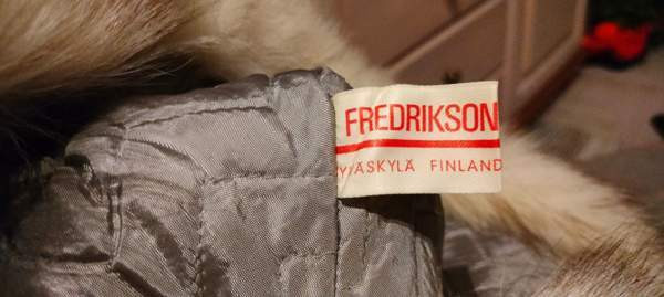 Sinikettu karvalakki Lohja - valokuva 3