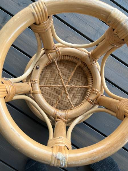 Rottinkinen kukkajalka Kuopio - photo 3