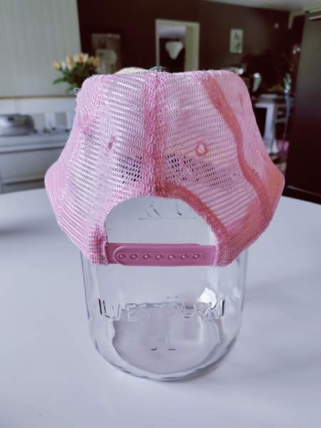 Lippalakki Nokia – foto 3