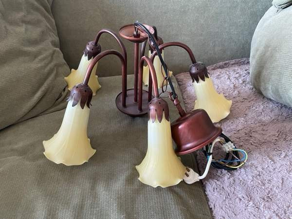 Kattovalaisin! Эспоо - изображение 1