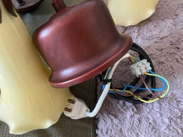 Kattovalaisin! Эспоо - изображение 2