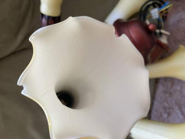 Kattovalaisin! Эспоо - изображение 3