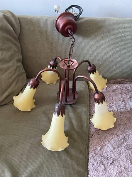 Kattovalaisin! Эспоо - изображение 4