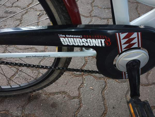 Jopo Duutson Salo - photo 4