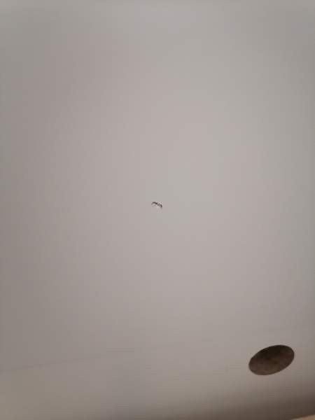 IKEA Malm sängynrunko Rovaniemi - valokuva 6