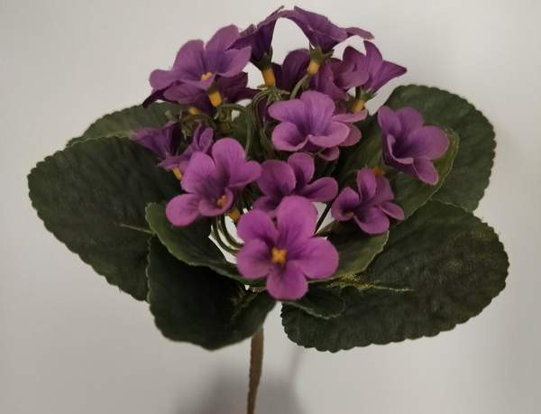 TEKOKUKKA Saintpaulia violetti 22 cm (vintage) Tampere - photo 2
