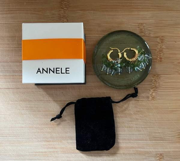 ANNELE Blueberry Fields Forever Pori - valokuva 6