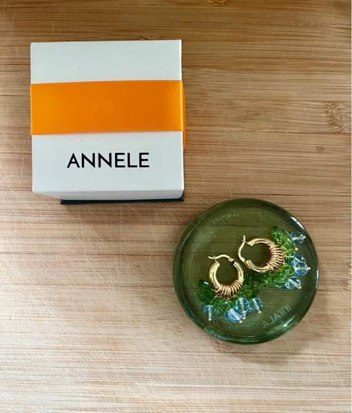 ANNELE Blueberry Fields Forever Pori - valokuva 1