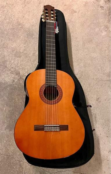 Akustinen kitara kantopussilla Jyvaeskylae – foto 1