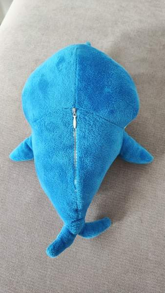 Soiva Baby Shark Järvenpää - valokuva 3