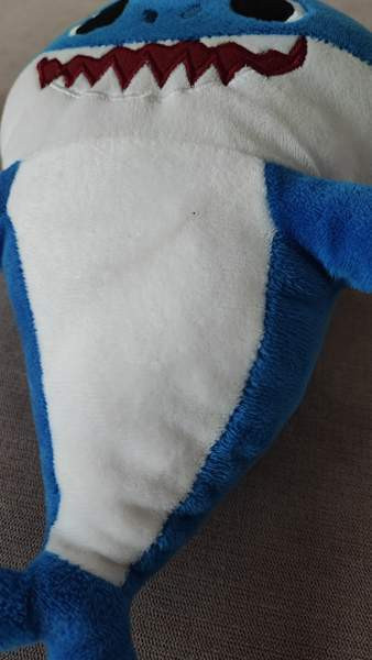 Soiva Baby Shark Järvenpää - valokuva 4