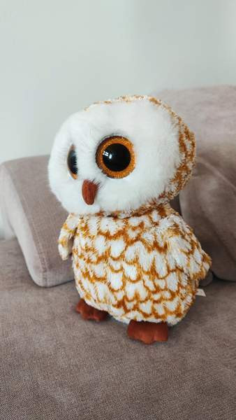 Ty Beanie Boos Swoops pöllö Järvenpää - valokuva 2