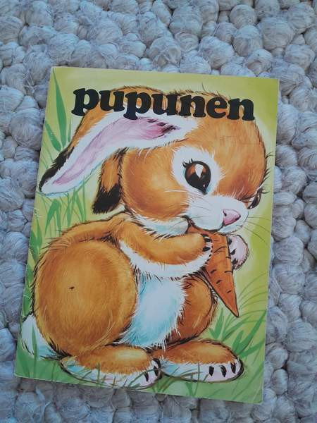 Pupunen satu vanha Jyvaeskylae – foto 1