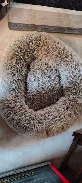 Pörröpeti Rauma - valokuva 1