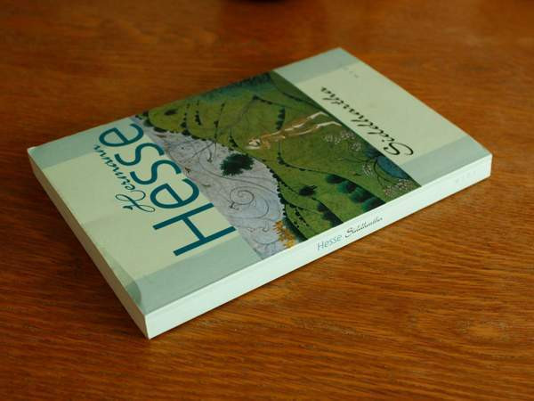Hermann Hesse - Siddhartha Тампере - изображение 6