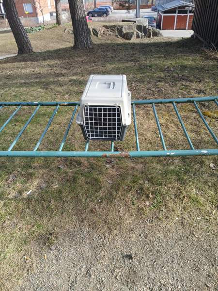 Kissankuljetuslaatikko  pieni ja näppärä Helsinki – foto 1