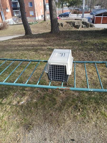 Kissankuljetuslaatikko  pieni ja näppärä Helsinki – foto 4