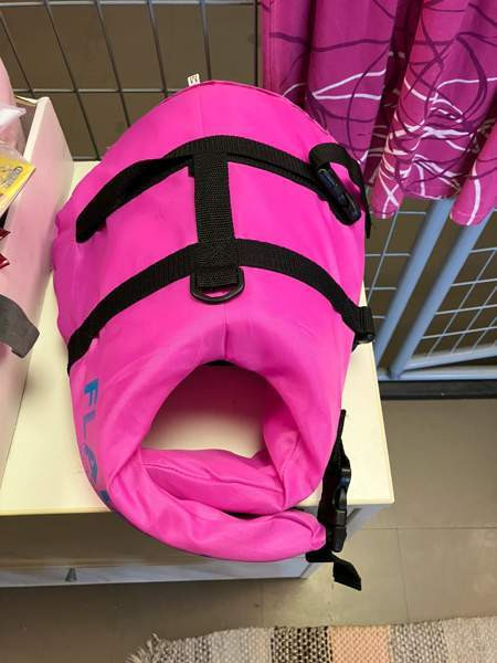 Pelastusliivit koiralle , koko M Helsinki - valokuva 1