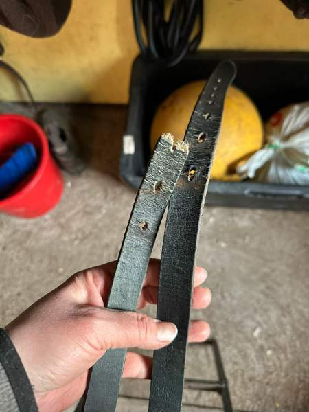 Globus koulusatula Tampere – foto 2