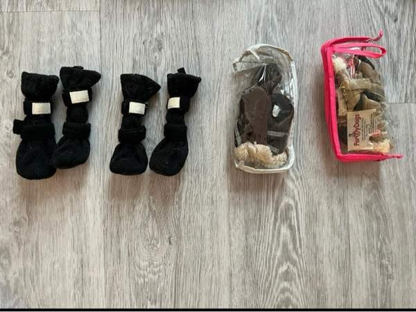 Koiran vaatteet ja jalkineet Jyvaeskylae – foto 2