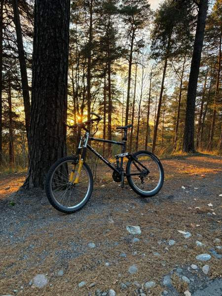 Tunturi Dual Fun täysjousitettu maastopyörä Tampere - photo 1