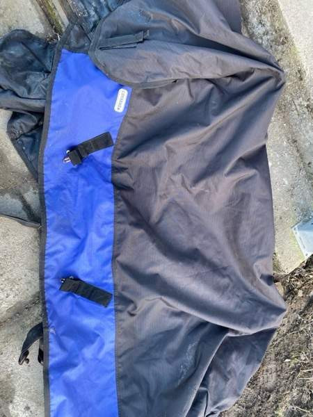 Full/Cob 145cm yksi 165cm Kurikka - valokuva 1