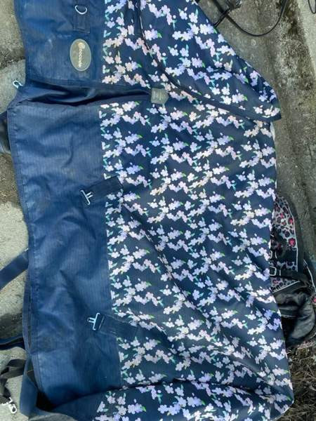 Full/Cob 145cm yksi 165cm Kurikka - valokuva 3