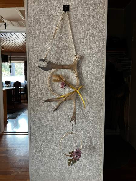 Poronsarvi unisieppari Mäntsälä - valokuva 1