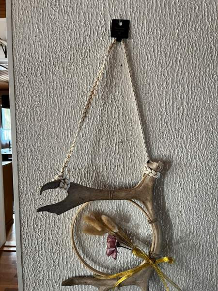 Poronsarvi unisieppari Mäntsälä - valokuva 4