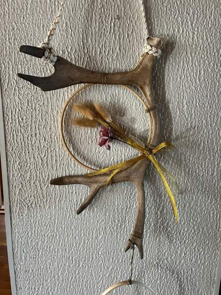 Poronsarvi unisieppari Mäntsälä - valokuva 2