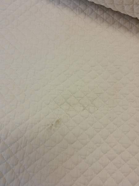 Kaksi satulahuopaa Kauhava - valokuva 3